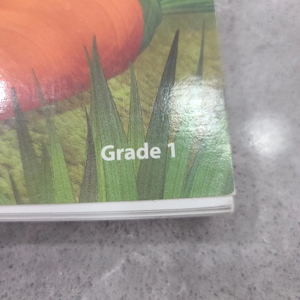 SRA READING MASTERY SIGNATURE EDITION PRESENTATION BOOK B By Siegfried Engelmann